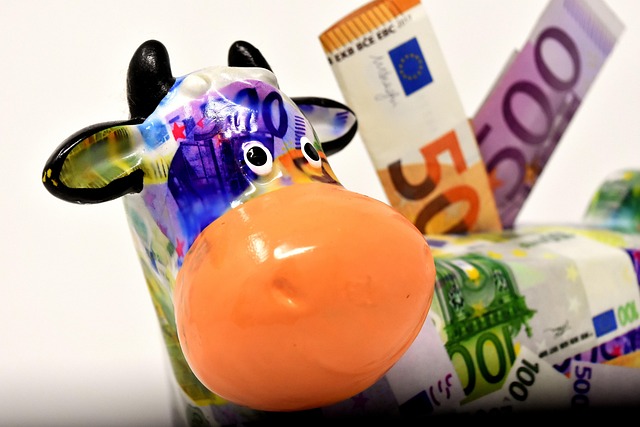 Travel Insurance For International Students